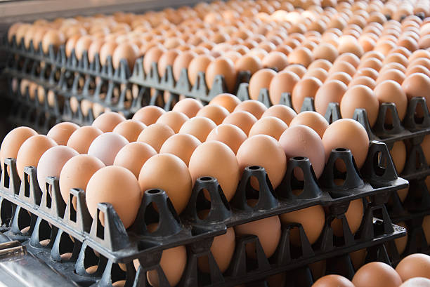 eggs from chicken farm in the package that preserved for sale
